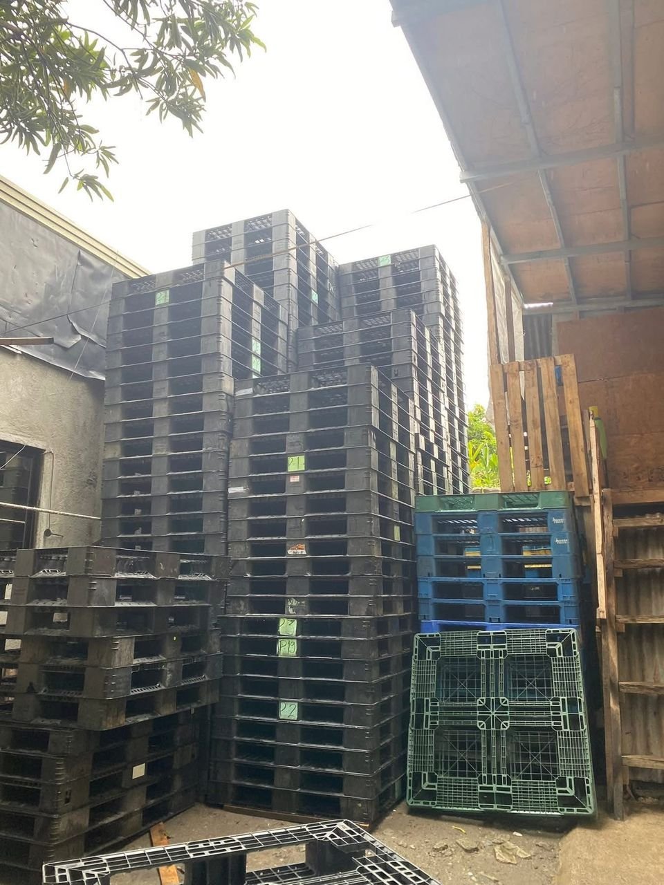 quality and durable plastic pallets available quality and durable plastic pallets available